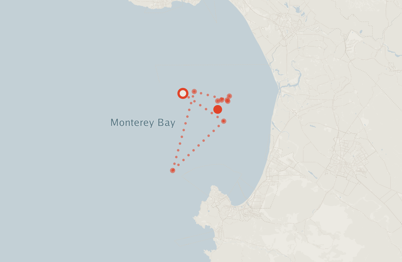 Activity map — real sighting points on an OpenStreetMap basemap