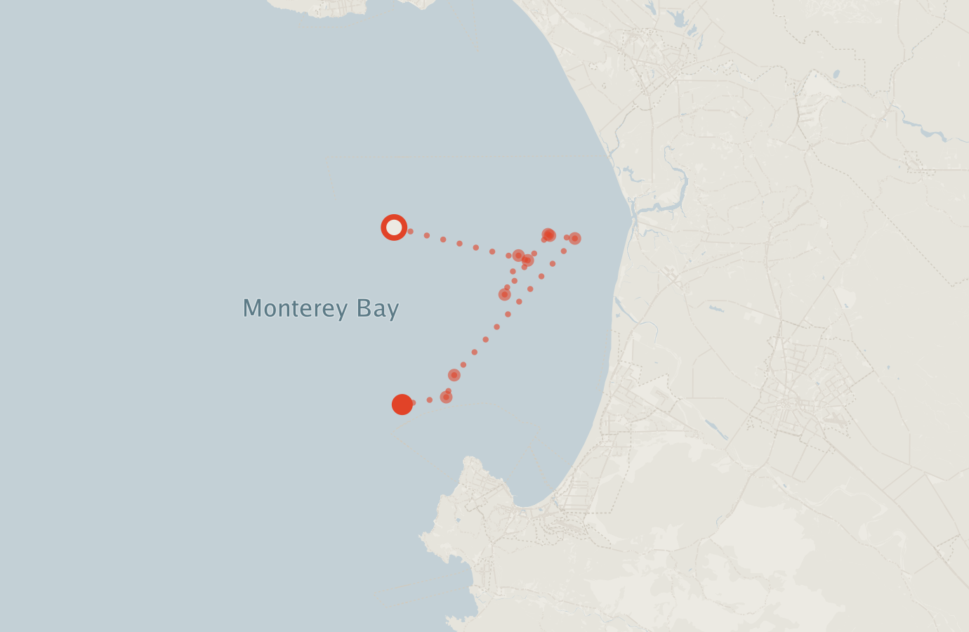 Activity map — real sighting points on an OpenStreetMap basemap