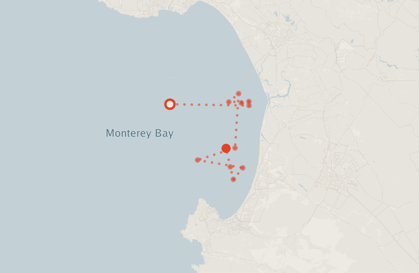 Activity map — real sighting points on an OpenStreetMap basemap