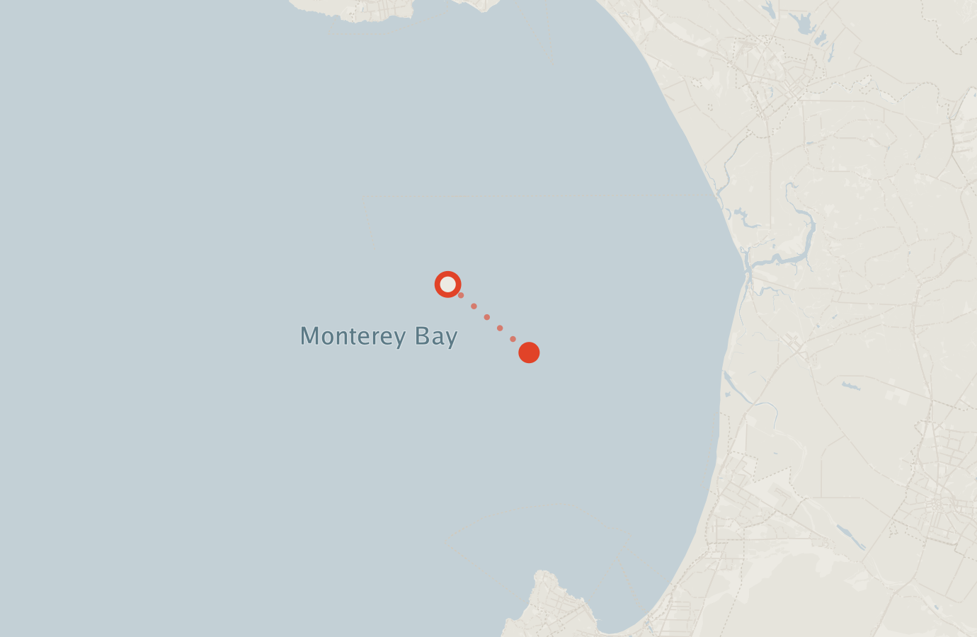 Activity map — real sighting points on an OpenStreetMap basemap