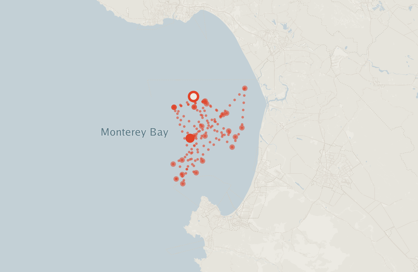 Activity map — real sighting points on an OpenStreetMap basemap