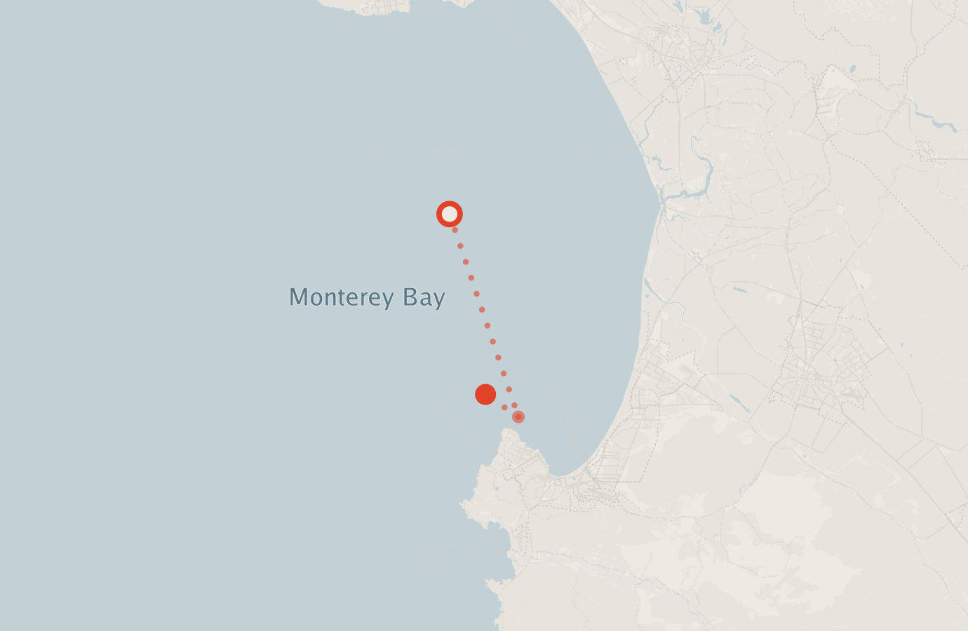 Activity map — real sighting points on an OpenStreetMap basemap