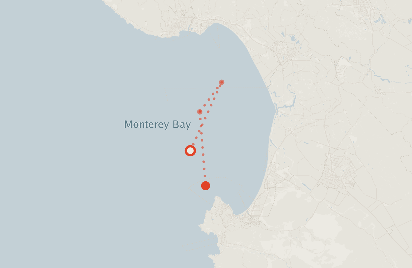 Activity map — real sighting points on an OpenStreetMap basemap