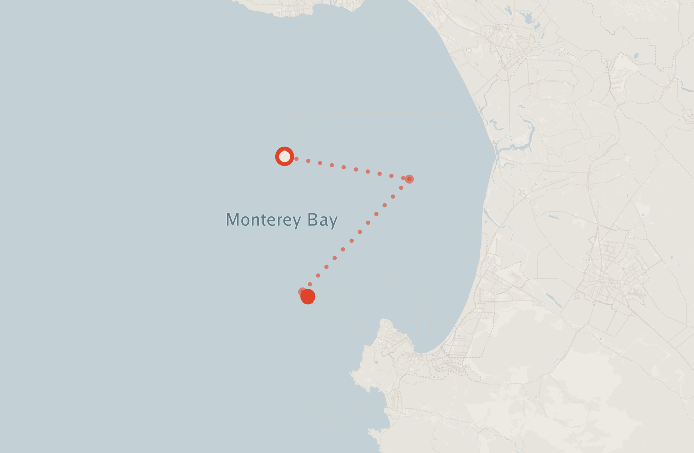 Activity map — real sighting points on an OpenStreetMap basemap