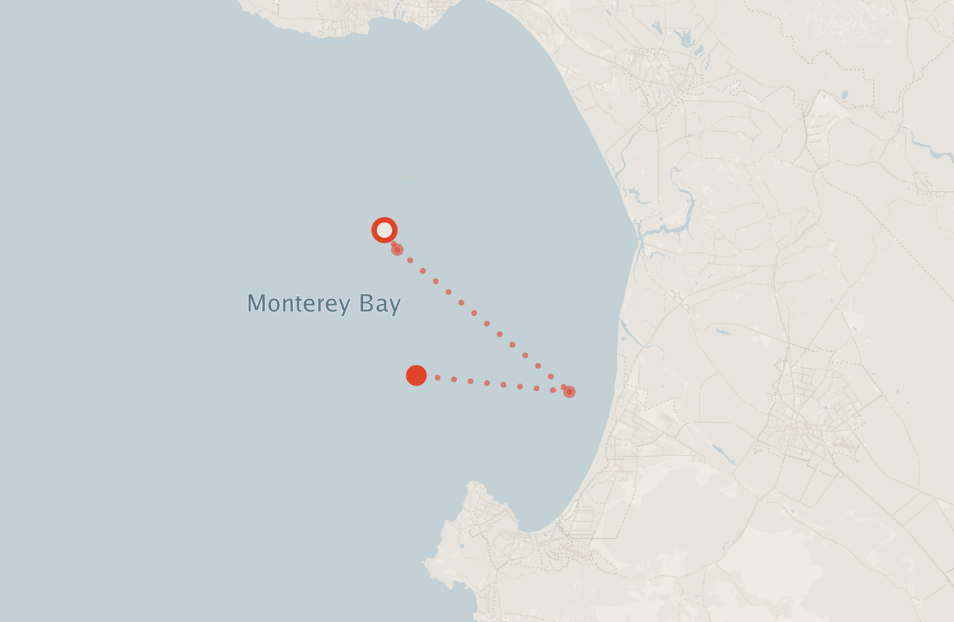 Activity map — real sighting points on an OpenStreetMap basemap