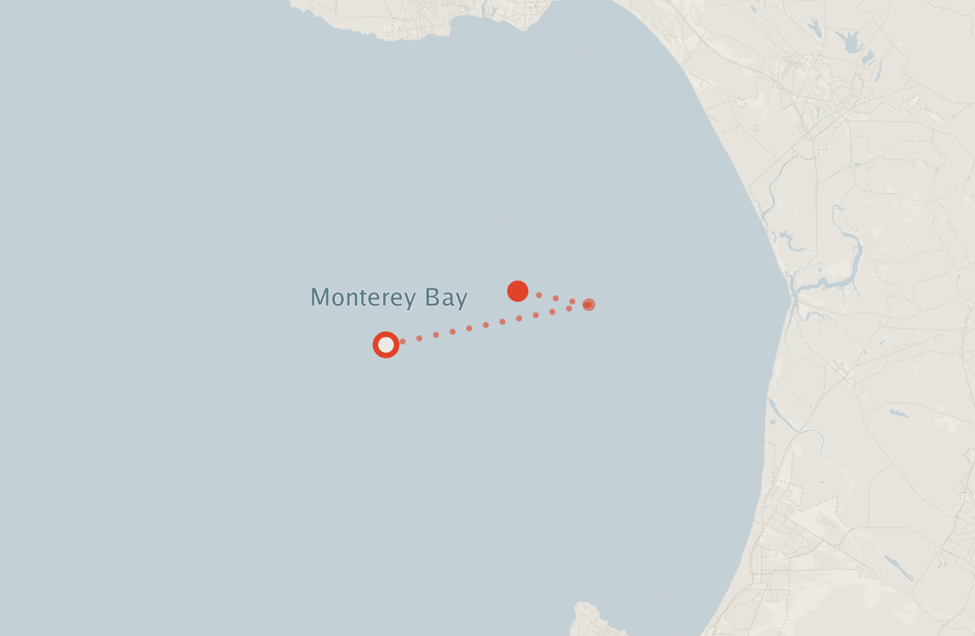 Activity map — real sighting points on an OpenStreetMap basemap