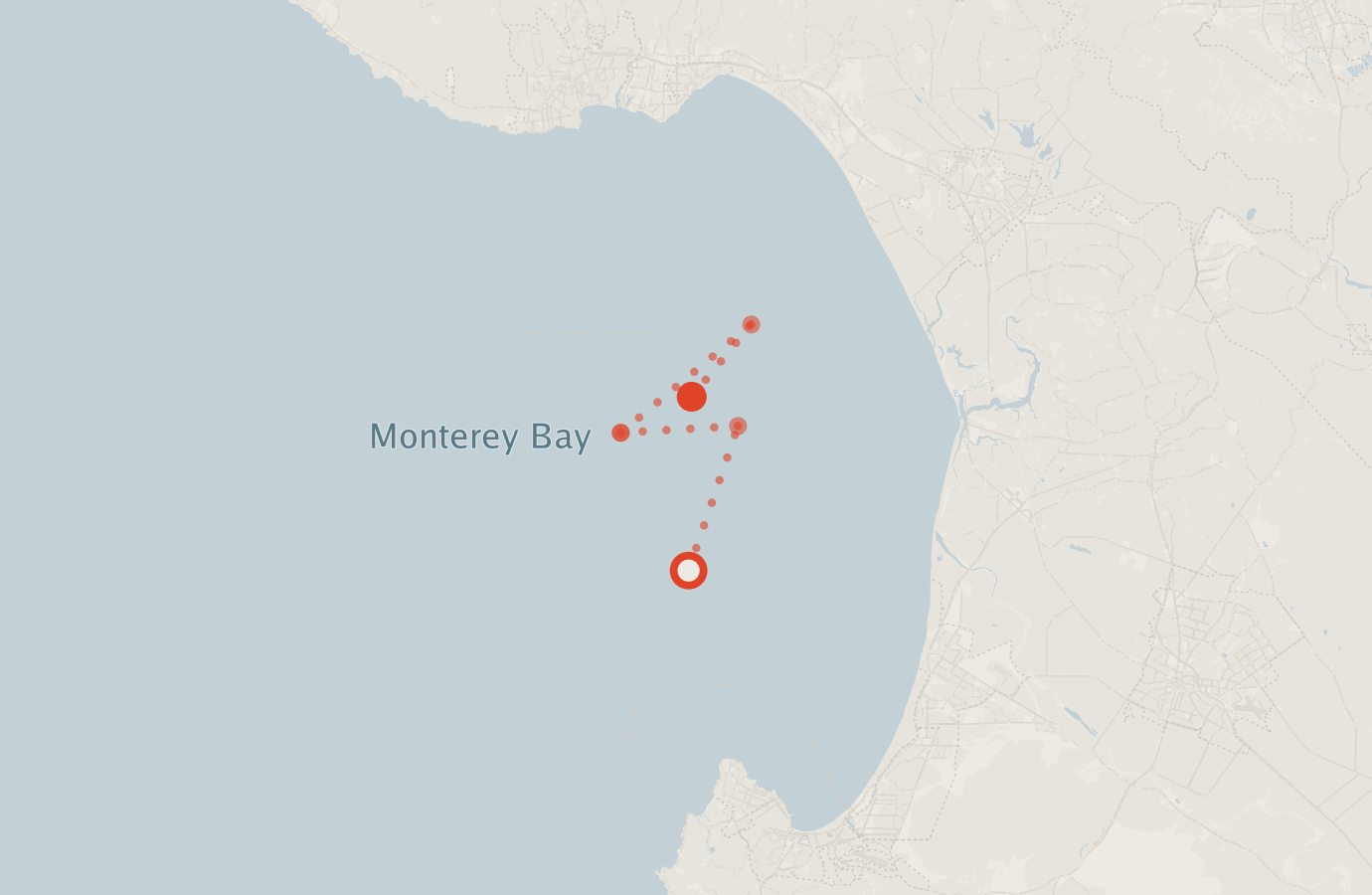 Activity map — real sighting points on an OpenStreetMap basemap