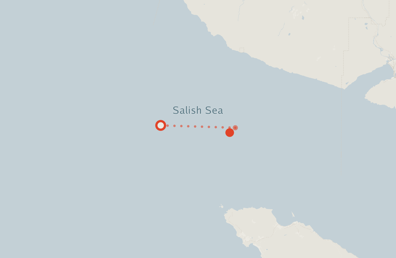 Activity map — real sighting points on an OpenStreetMap basemap
