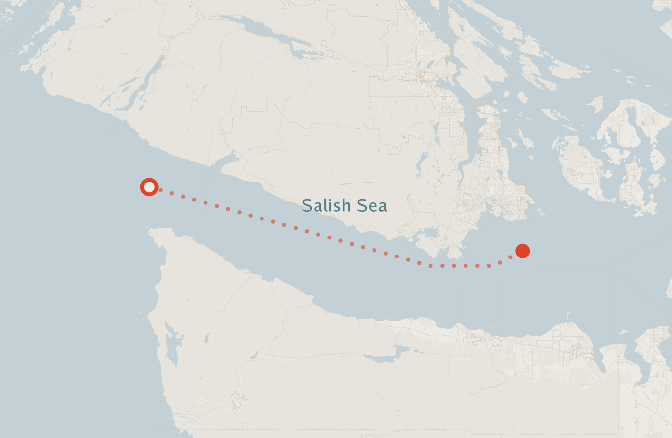 Activity map — real sighting points on an OpenStreetMap basemap