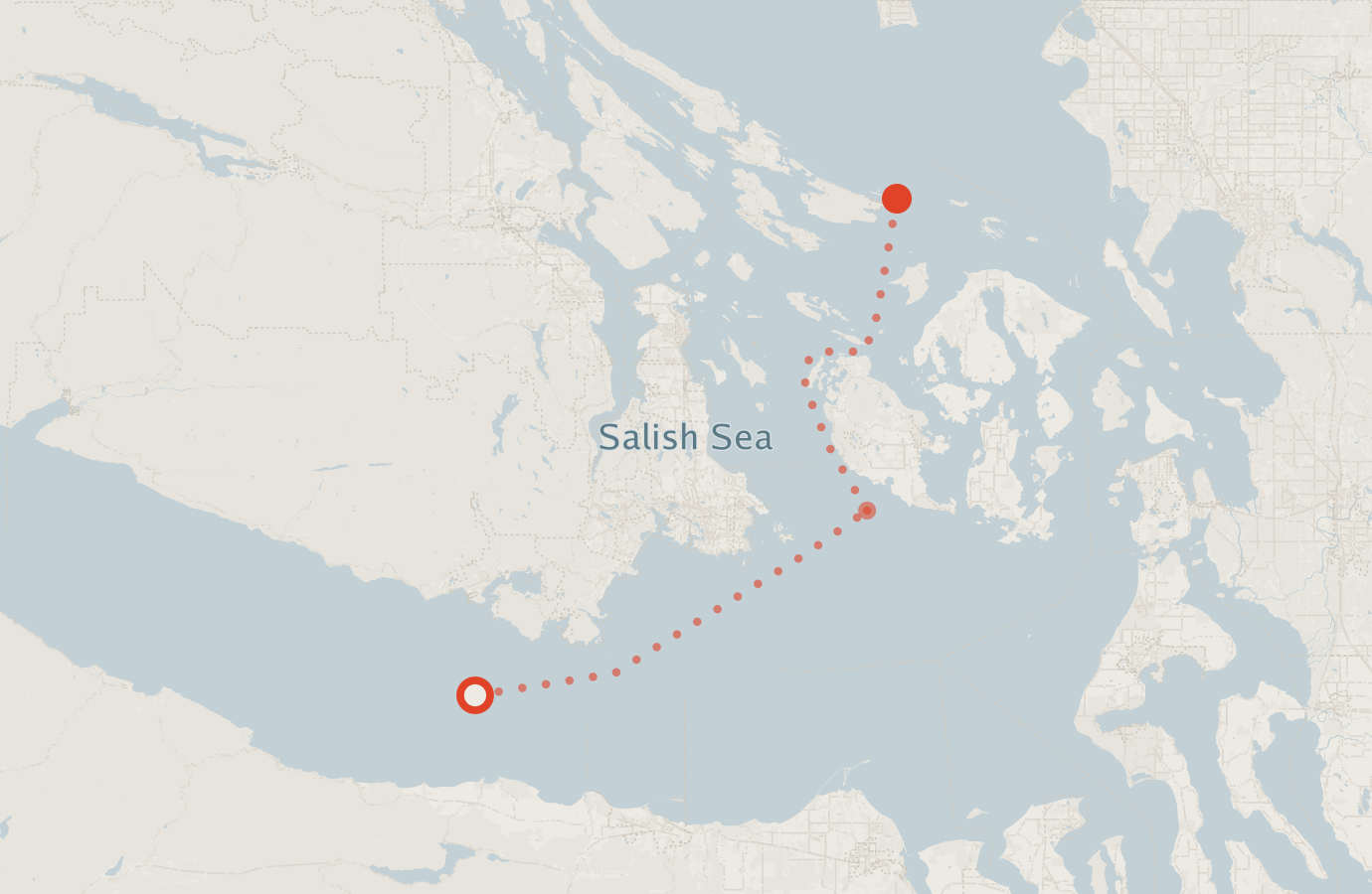 Activity map — real sighting points on an OpenStreetMap basemap