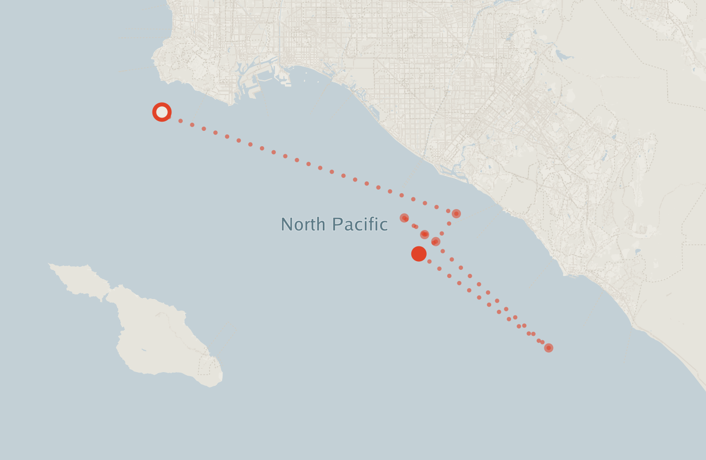 Activity map — real sighting points on an OpenStreetMap basemap