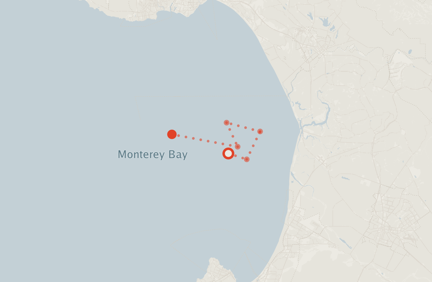 Activity map — real sighting points on an OpenStreetMap basemap
