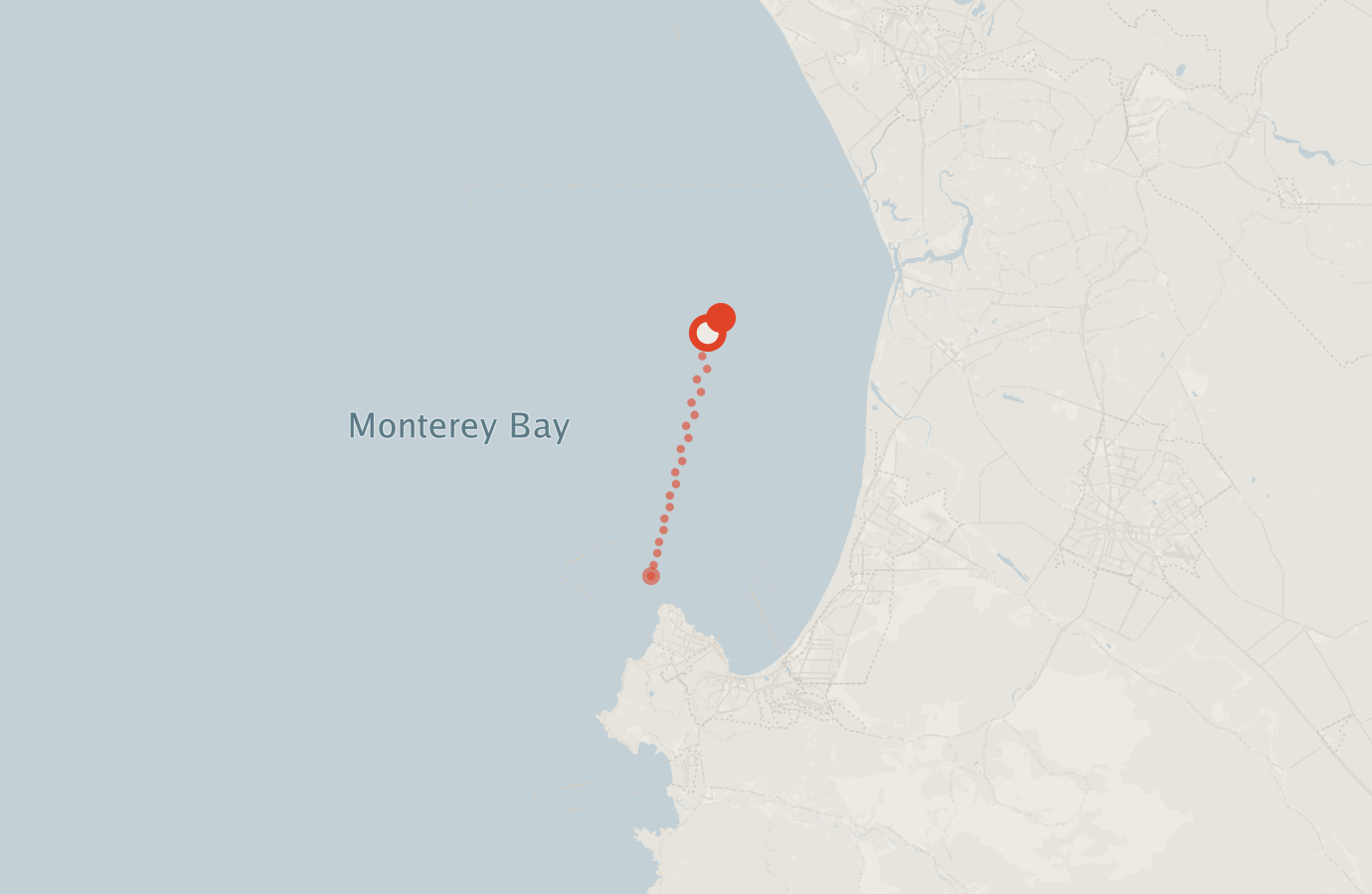 Activity map — real sighting points on an OpenStreetMap basemap