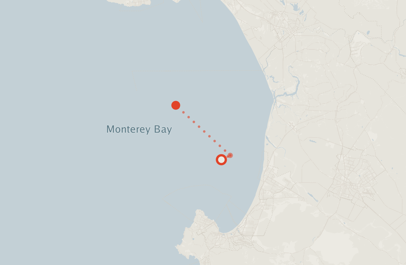 Activity map — real sighting points on an OpenStreetMap basemap