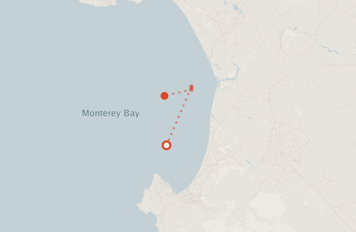 Activity map — real sighting points on an OpenStreetMap basemap