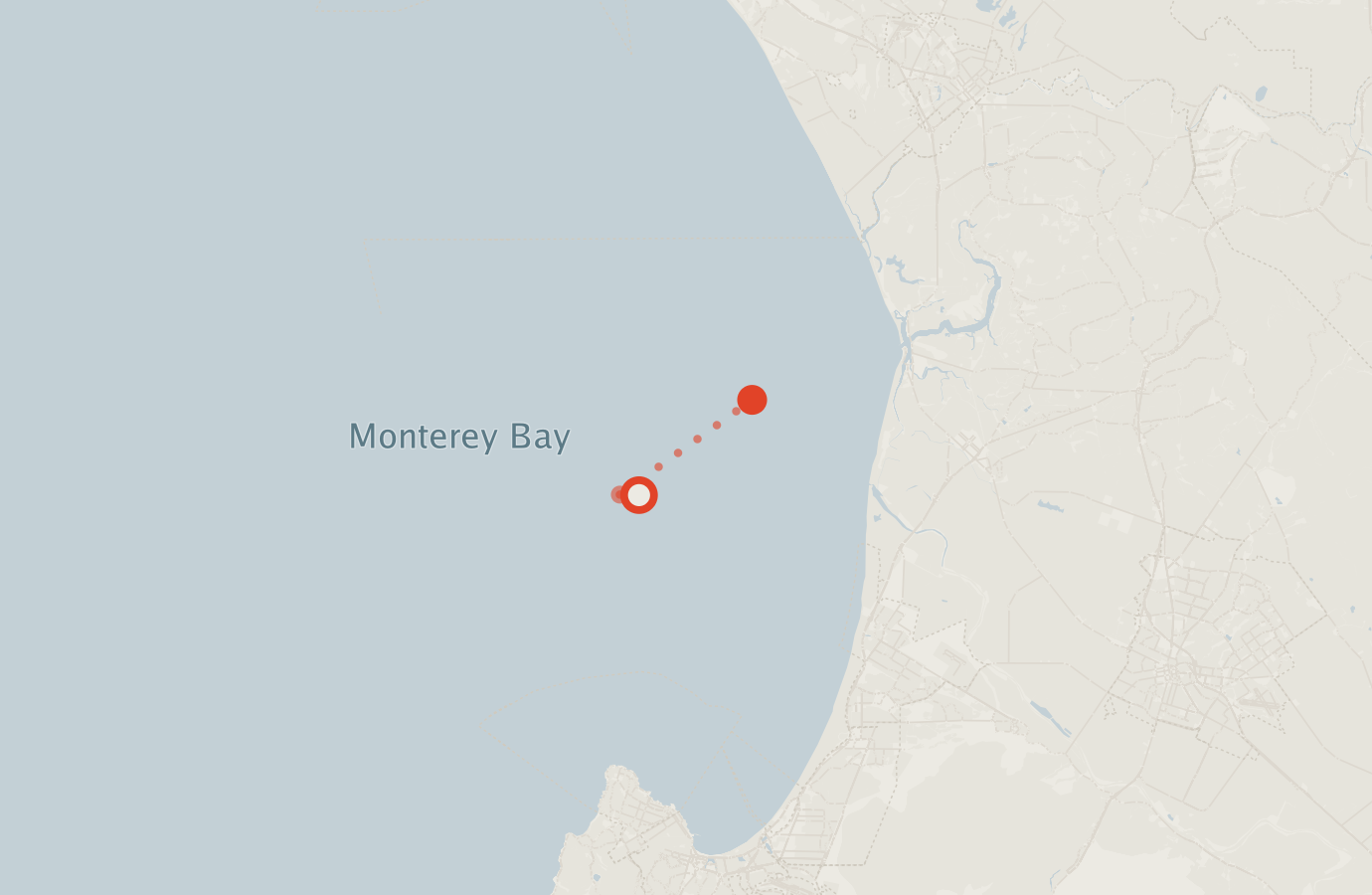 Activity map — real sighting points on an OpenStreetMap basemap