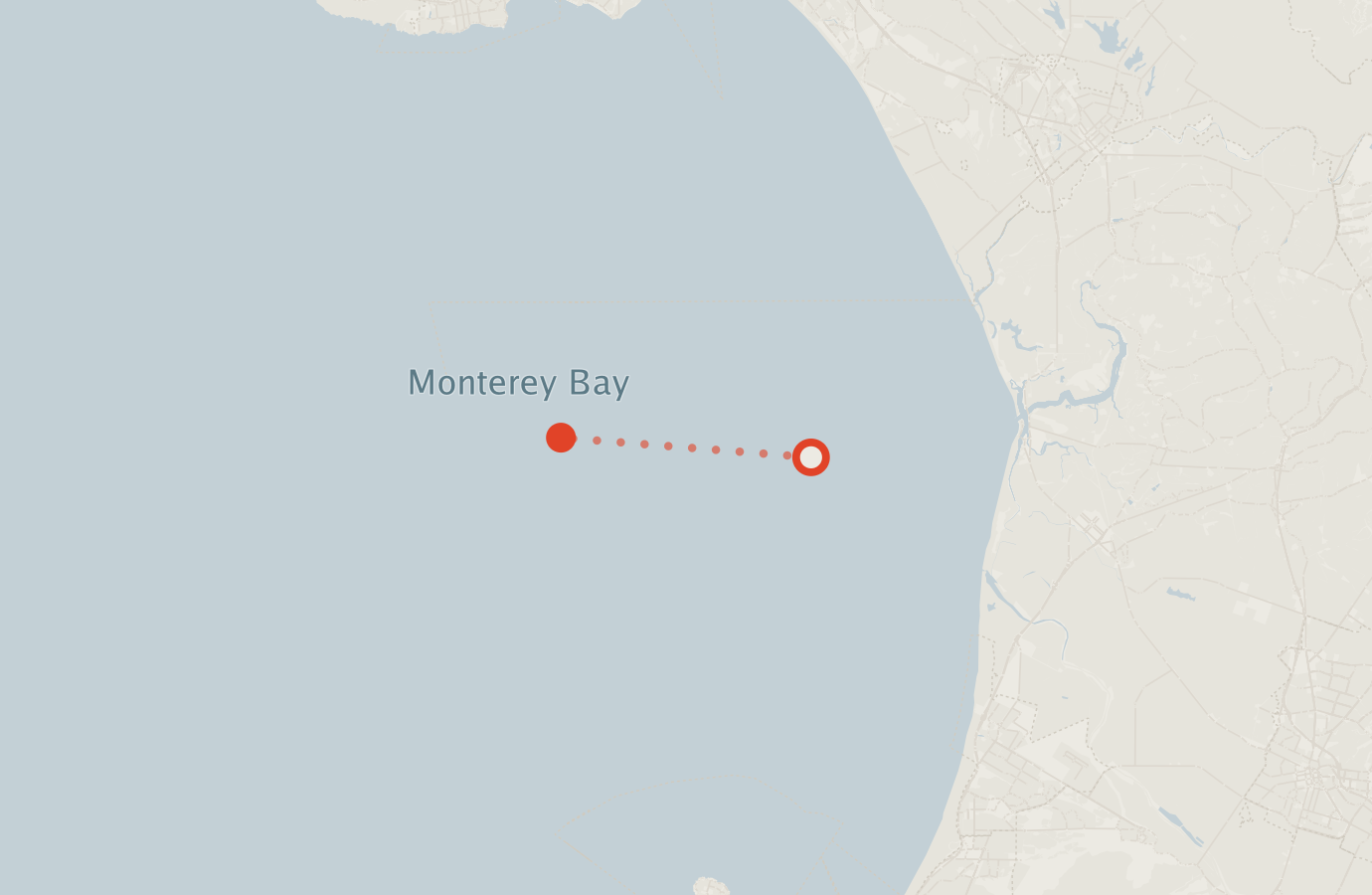 Activity map — real sighting points on an OpenStreetMap basemap