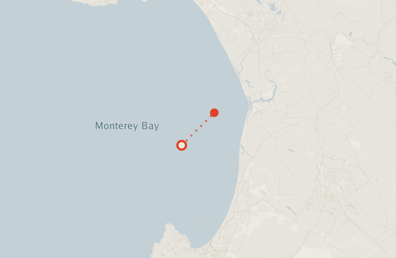 Activity map — real sighting points on an OpenStreetMap basemap