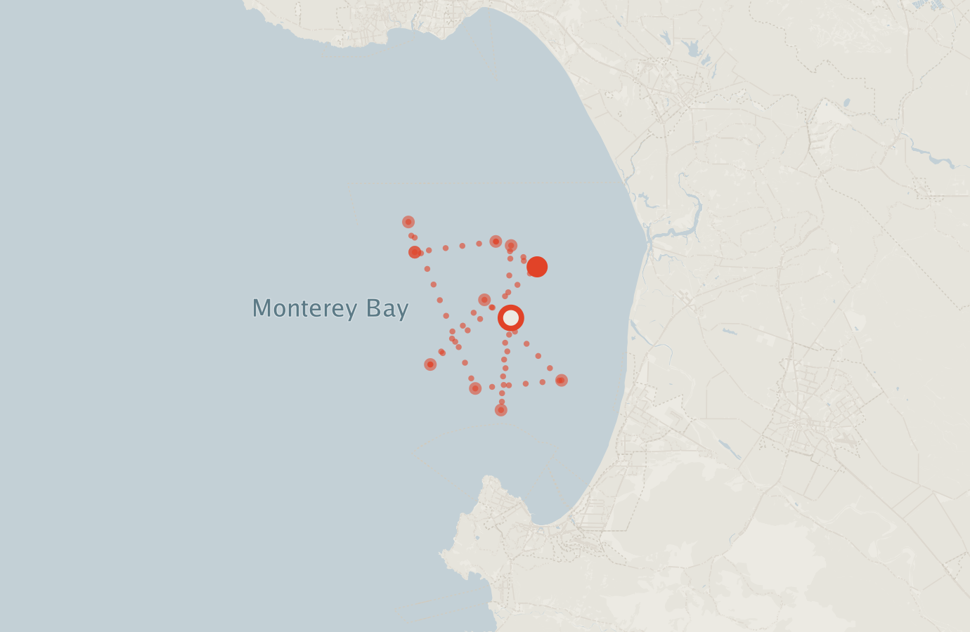 Activity map — real sighting points on an OpenStreetMap basemap