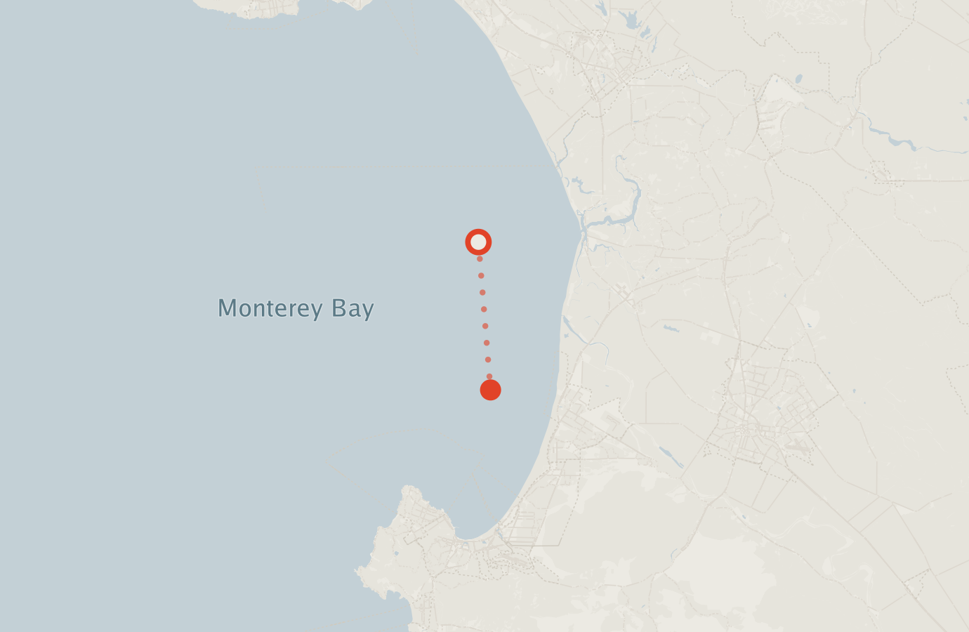 Activity map — real sighting points on an OpenStreetMap basemap