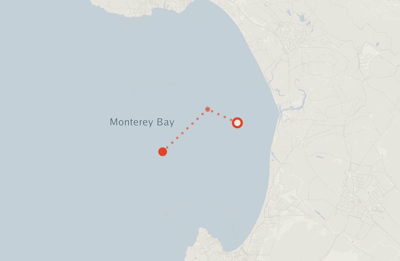 Activity map — real sighting points on an OpenStreetMap basemap