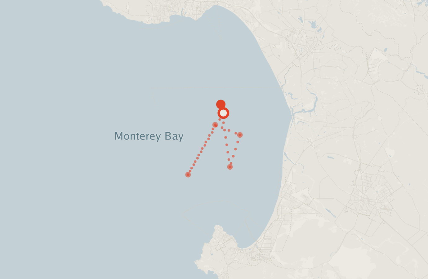Activity map — real sighting points on an OpenStreetMap basemap