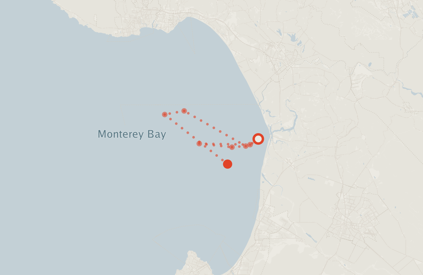 Activity map — real sighting points on an OpenStreetMap basemap