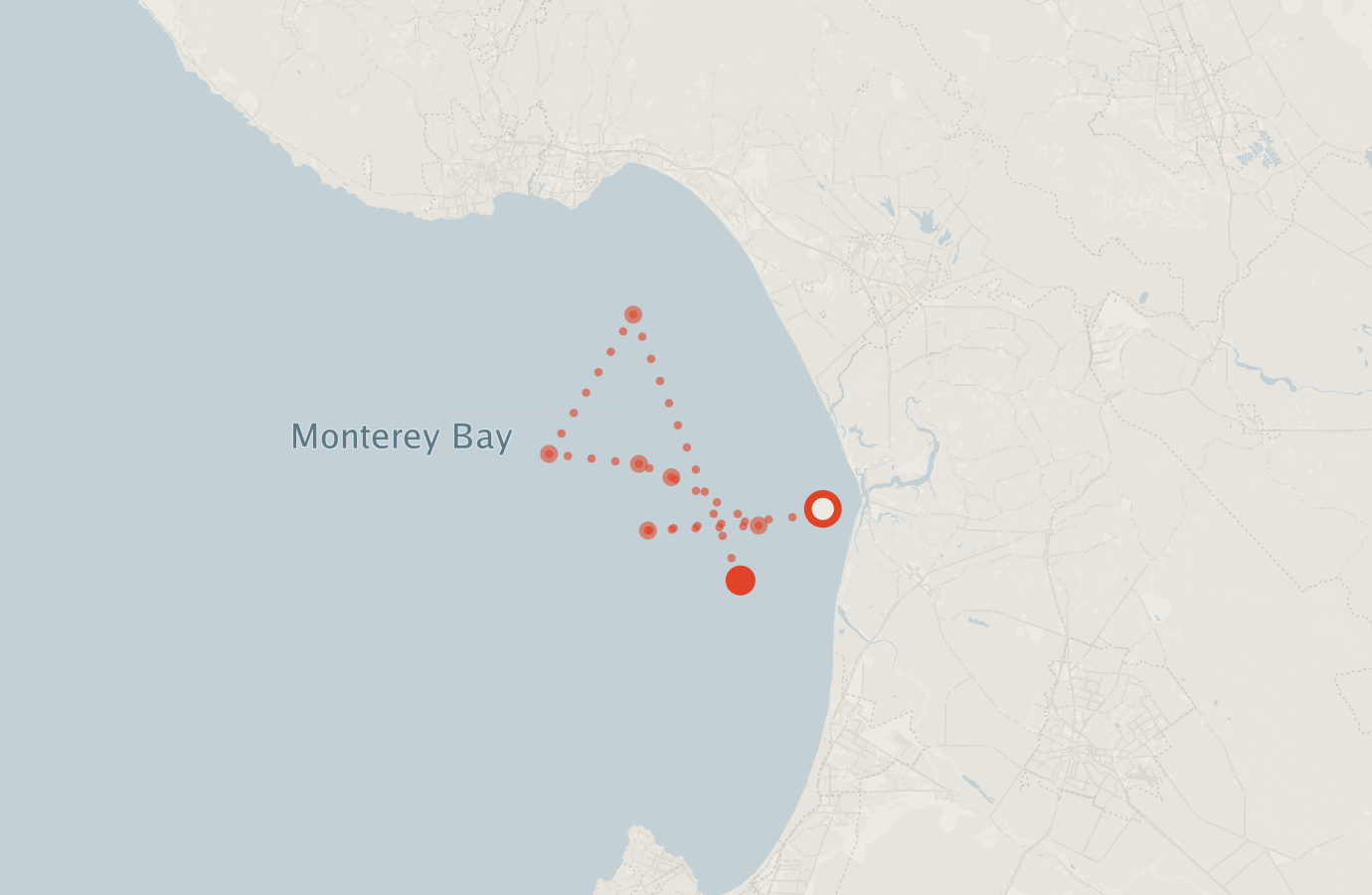 Activity map — real sighting points on an OpenStreetMap basemap