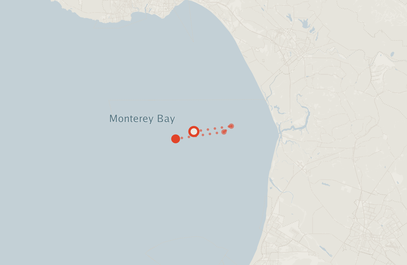 Activity map — real sighting points on an OpenStreetMap basemap