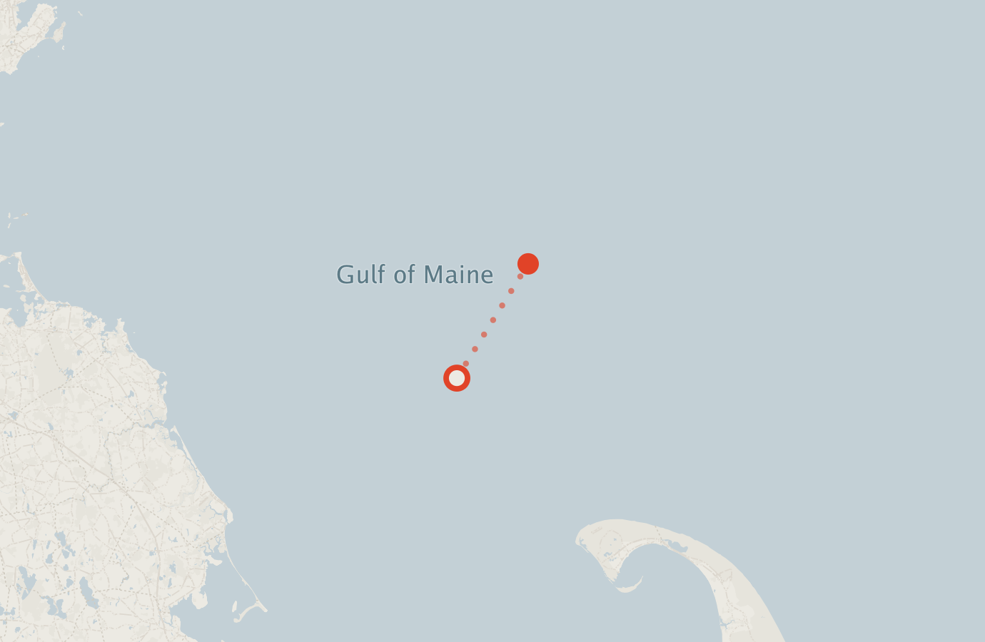 Activity map — real sighting points on an OpenStreetMap basemap
