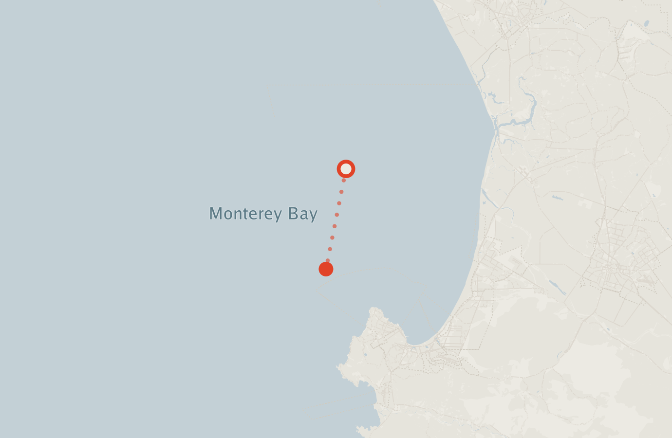 Activity map — real sighting points on an OpenStreetMap basemap