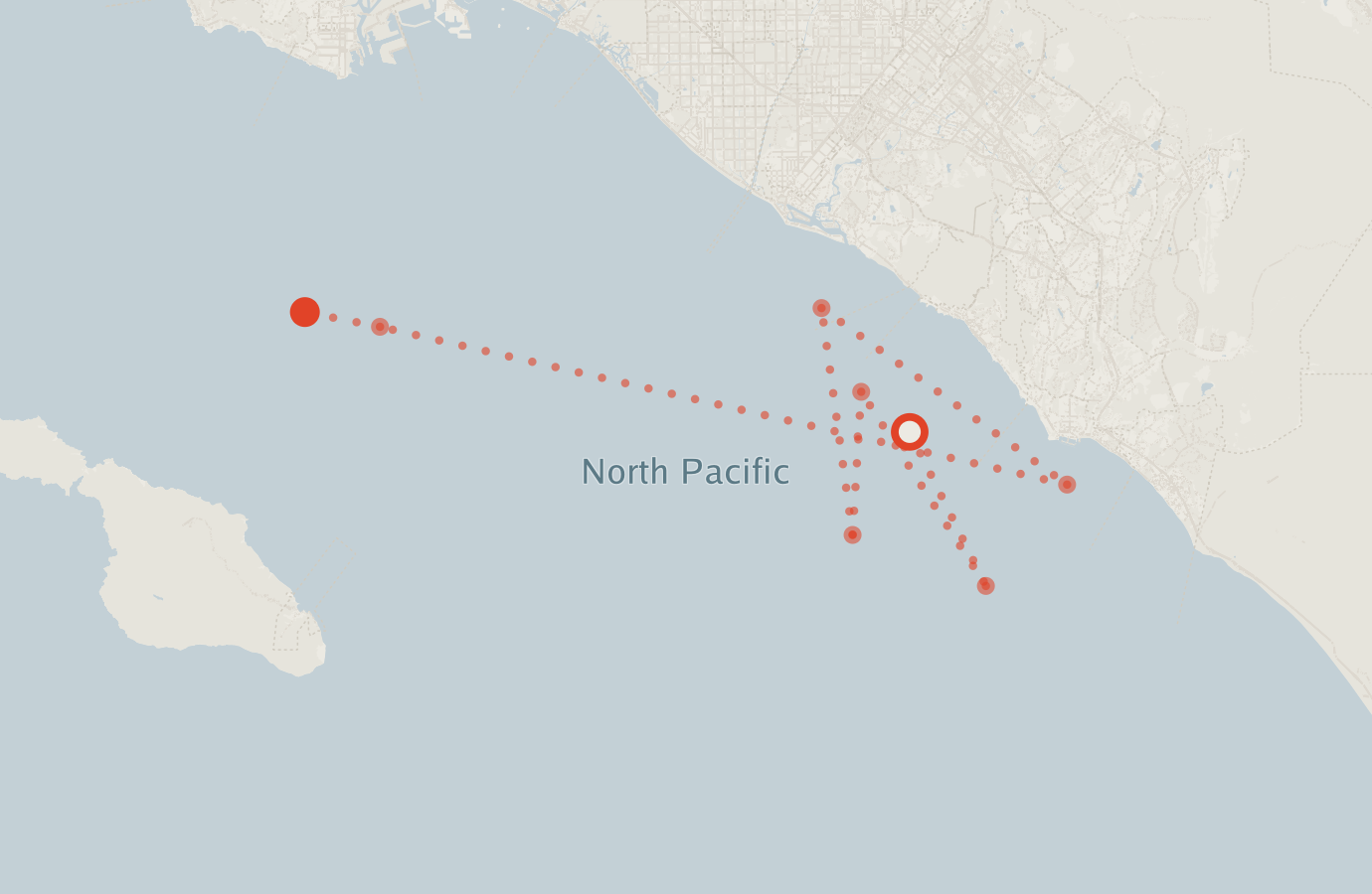 Activity map — real sighting points on an OpenStreetMap basemap