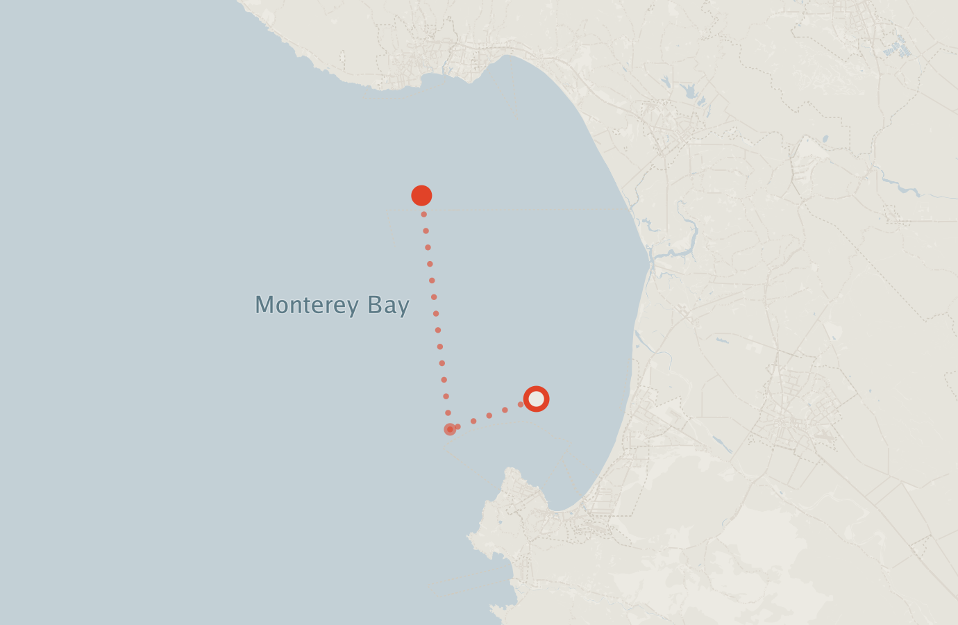 Activity map — real sighting points on an OpenStreetMap basemap