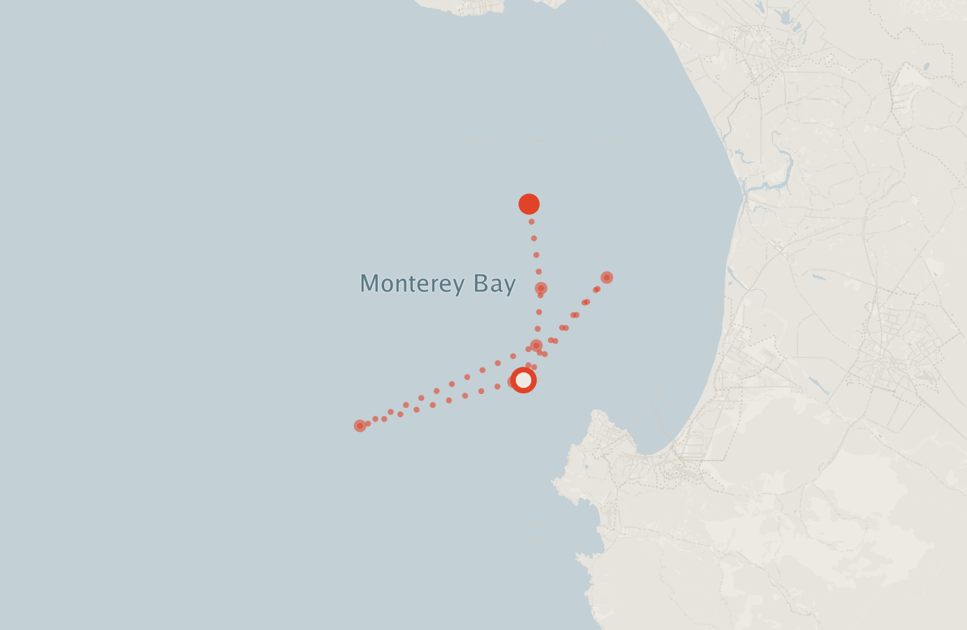 Activity map — real sighting points on an OpenStreetMap basemap
