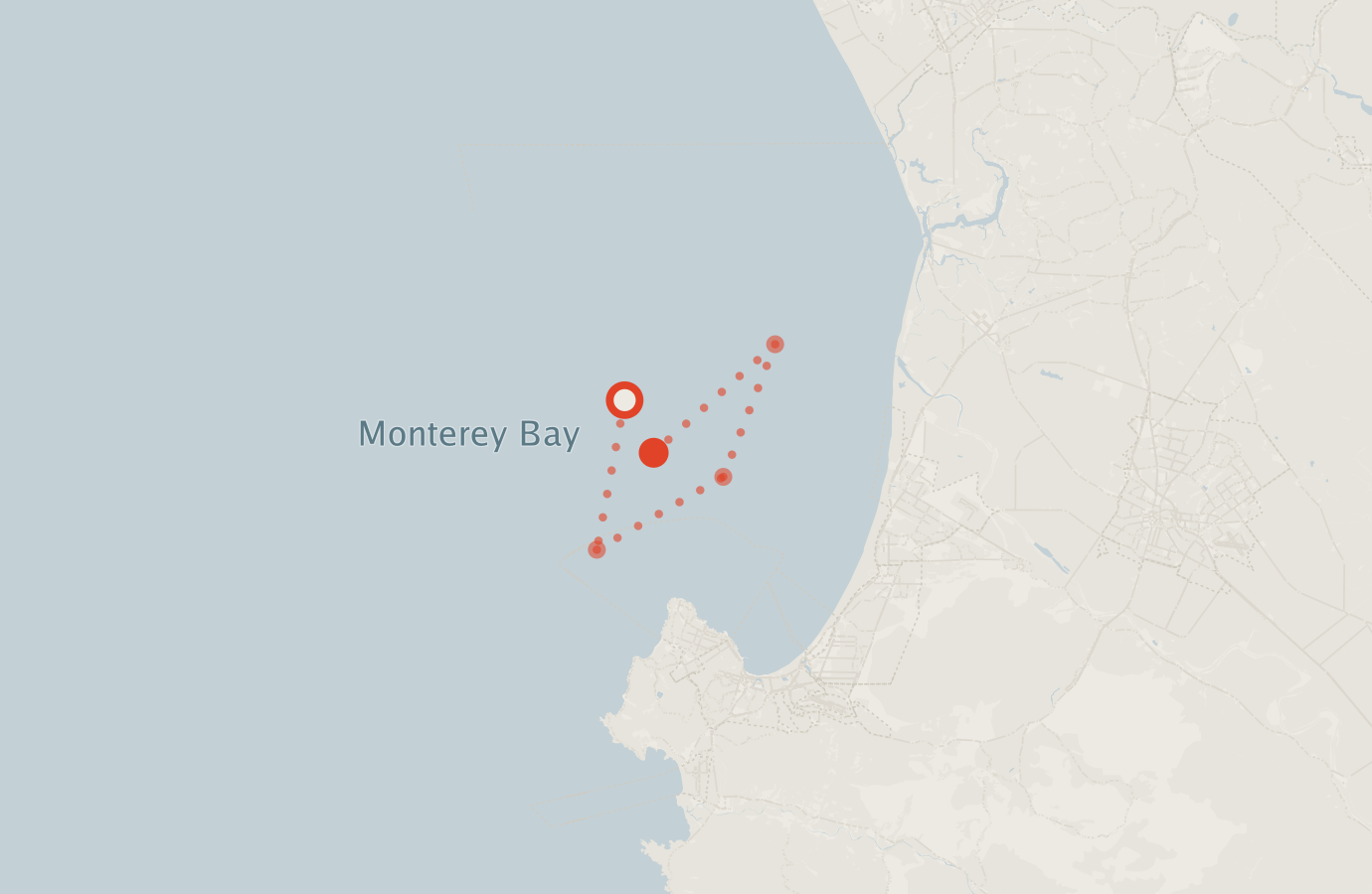 Activity map — real sighting points on an OpenStreetMap basemap