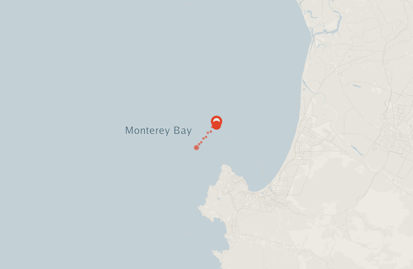 Activity map — real sighting points on an OpenStreetMap basemap