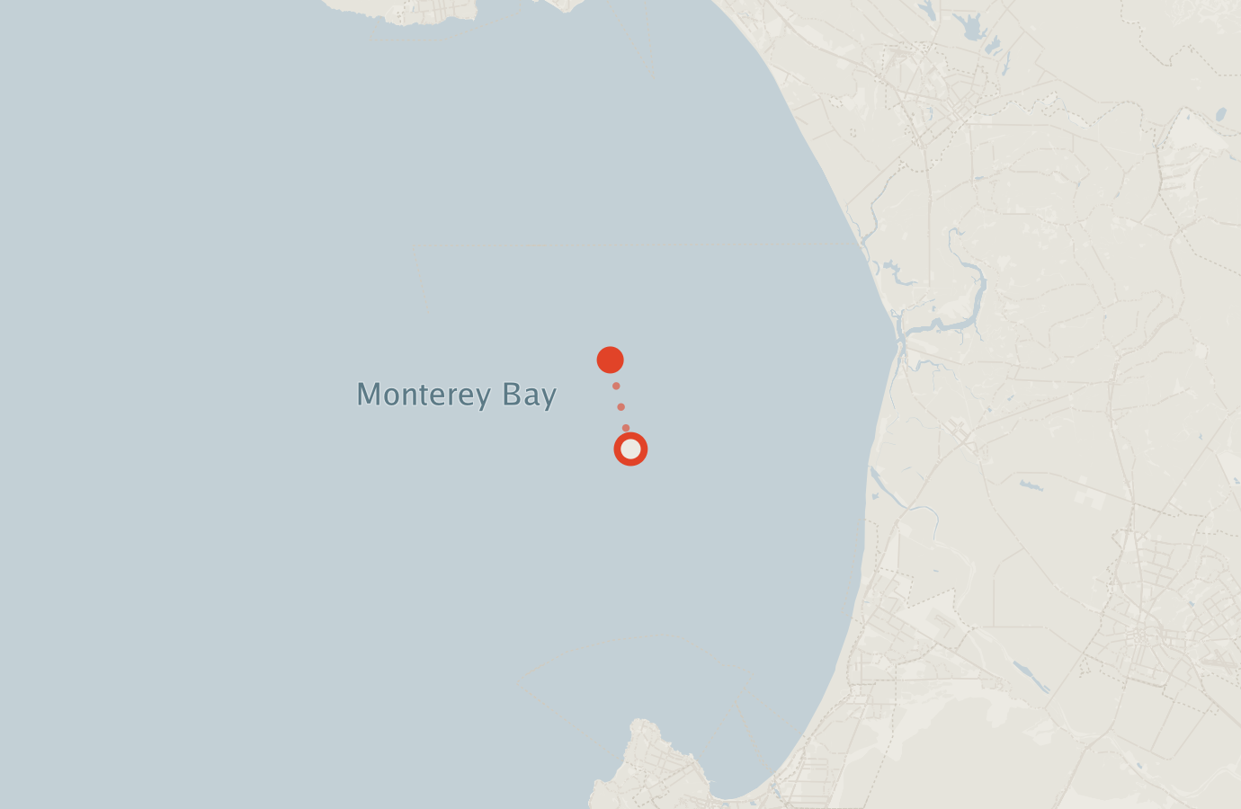 Activity map — real sighting points on an OpenStreetMap basemap