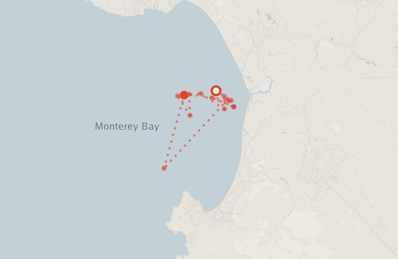 Activity map — real sighting points on an OpenStreetMap basemap