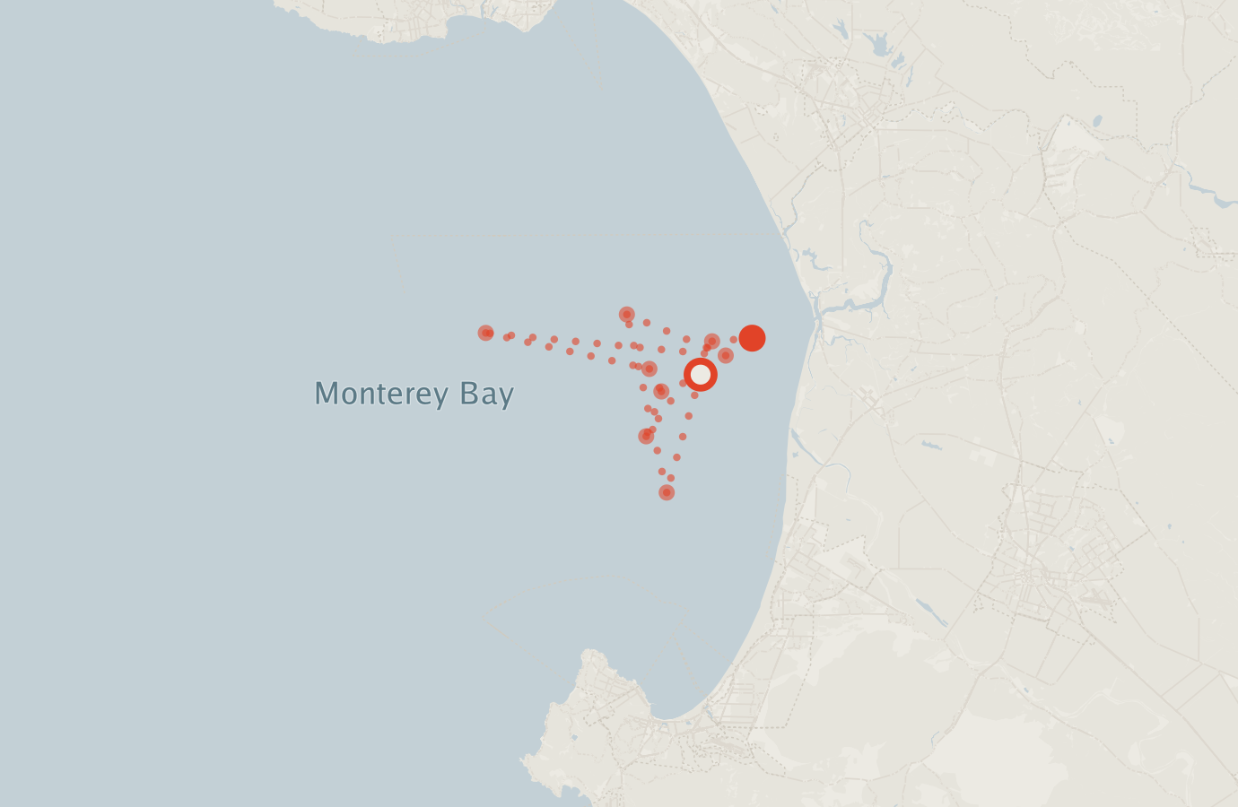 Activity map — real sighting points on an OpenStreetMap basemap