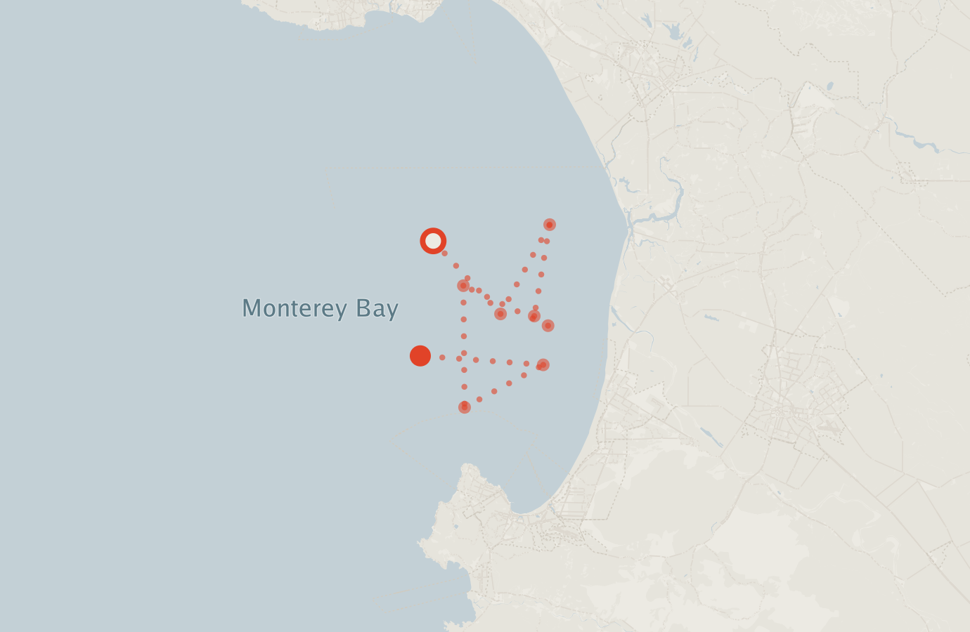 Activity map — real sighting points on an OpenStreetMap basemap