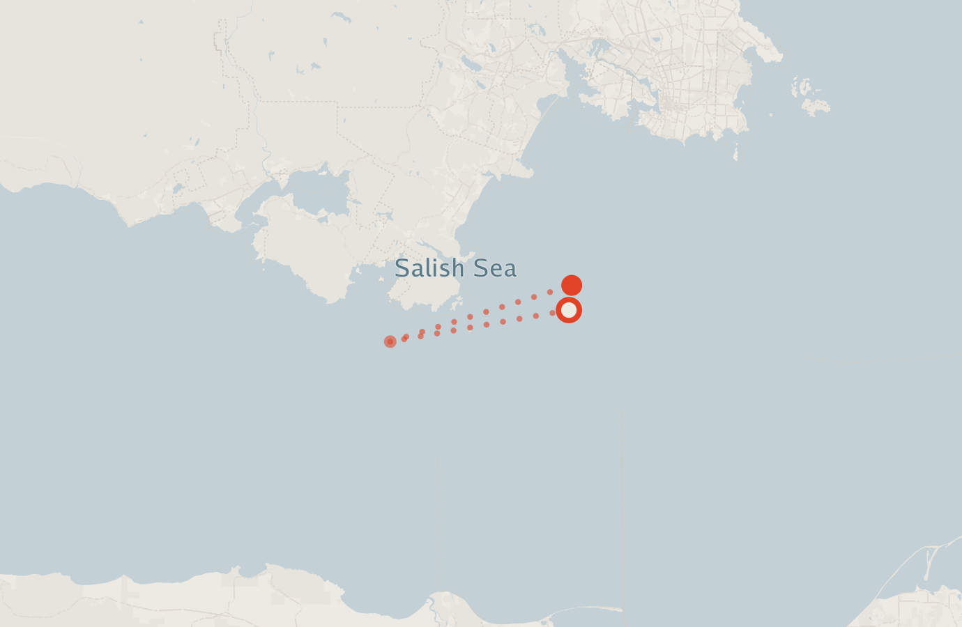 Activity map — real sighting points on an OpenStreetMap basemap