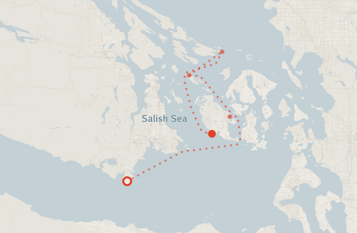 Activity map — real sighting points on an OpenStreetMap basemap