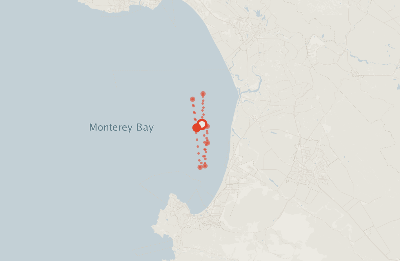 Activity map — real sighting points on an OpenStreetMap basemap