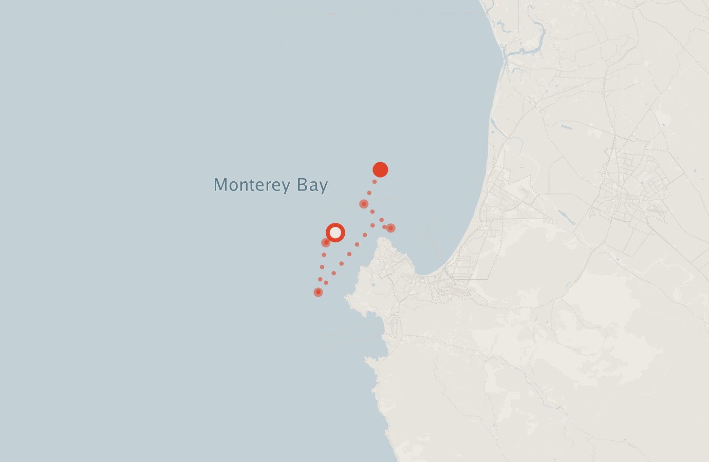 Activity map — real sighting points on an OpenStreetMap basemap