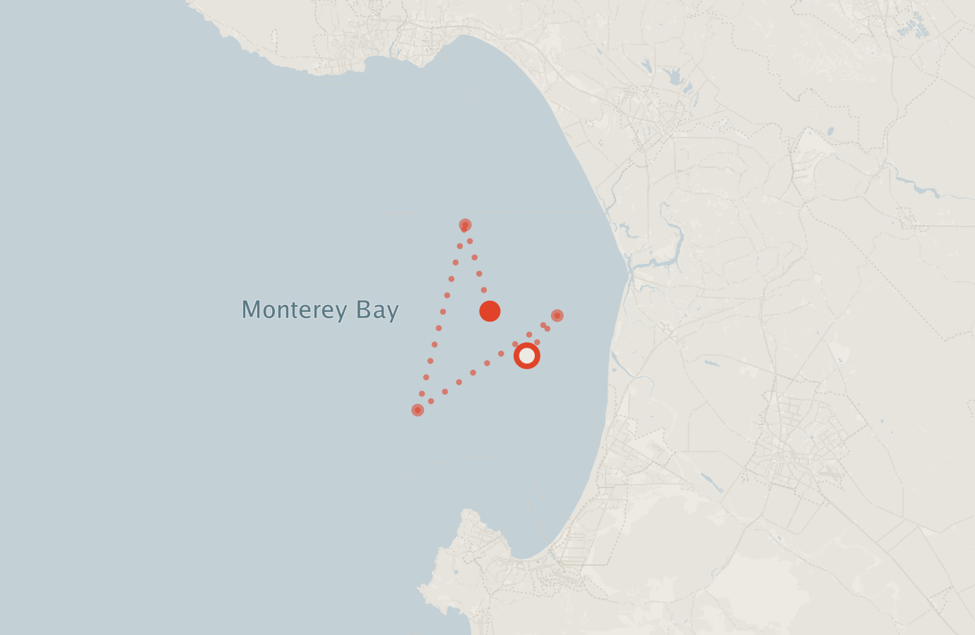 Activity map — real sighting points on an OpenStreetMap basemap