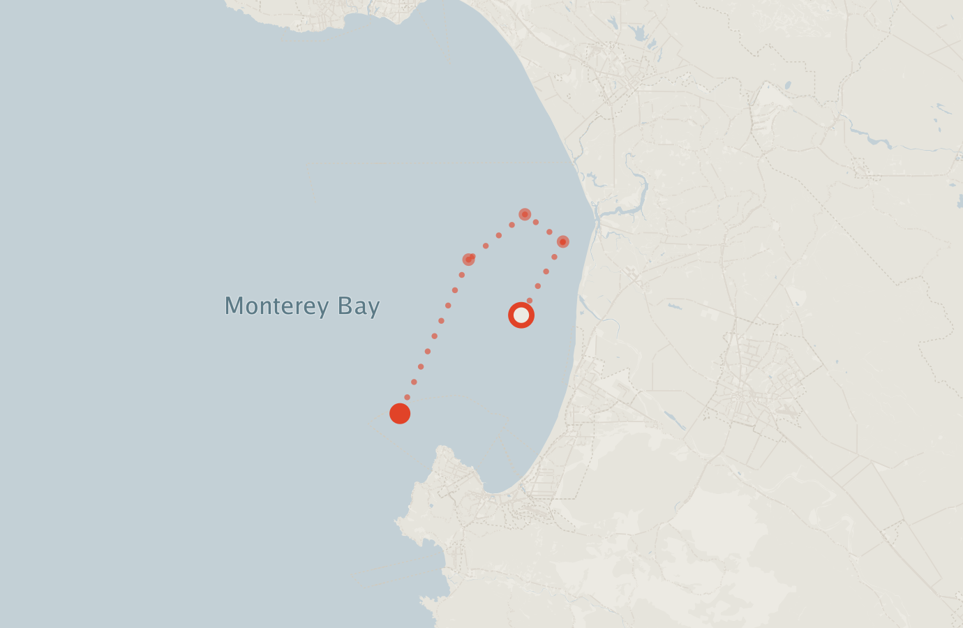 Activity map — real sighting points on an OpenStreetMap basemap