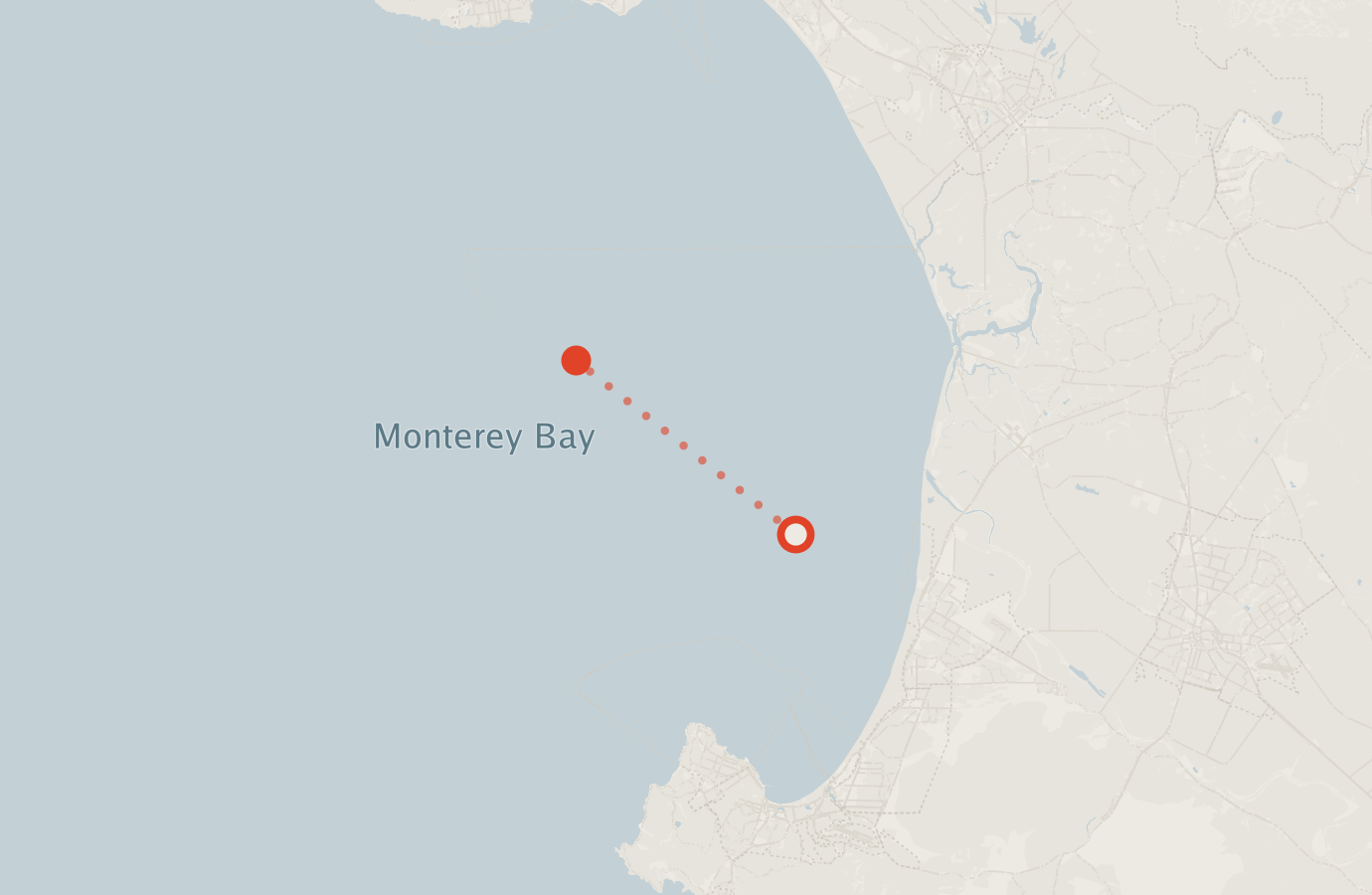 Activity map — real sighting points on an OpenStreetMap basemap