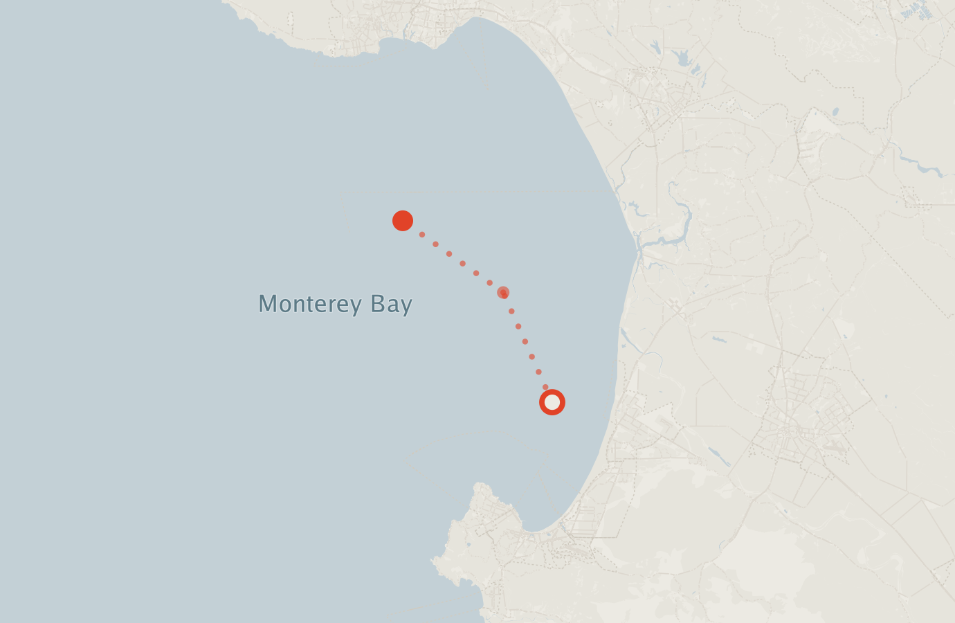 Activity map — real sighting points on an OpenStreetMap basemap