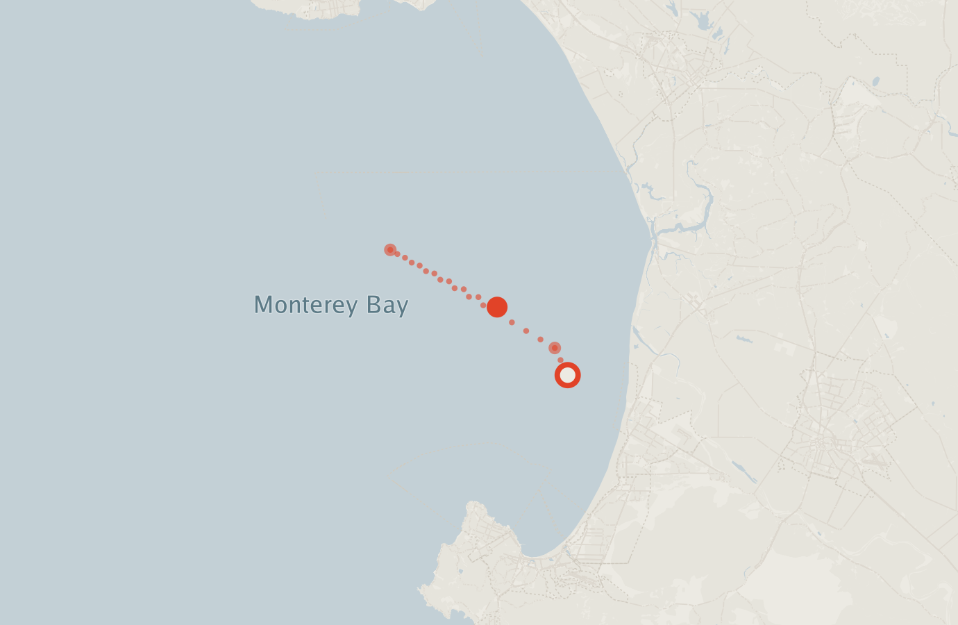 Activity map — real sighting points on an OpenStreetMap basemap
