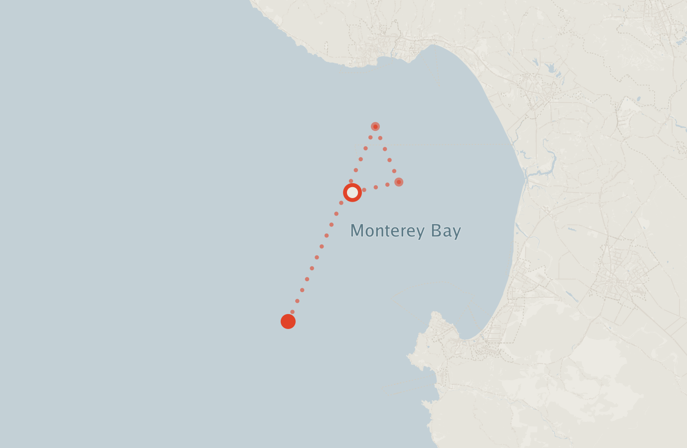 Activity map — real sighting points on an OpenStreetMap basemap
